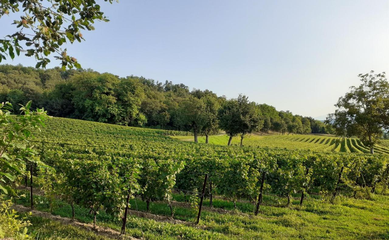 Vicolo Del Nido B&B Paderno Franciacorta Exterior photo